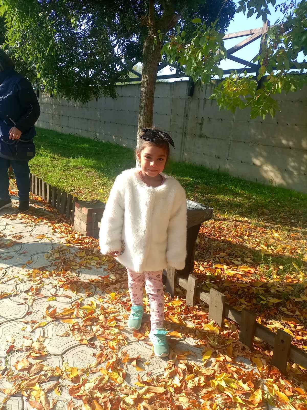 Моравски Конаци Излет - фотографија 17