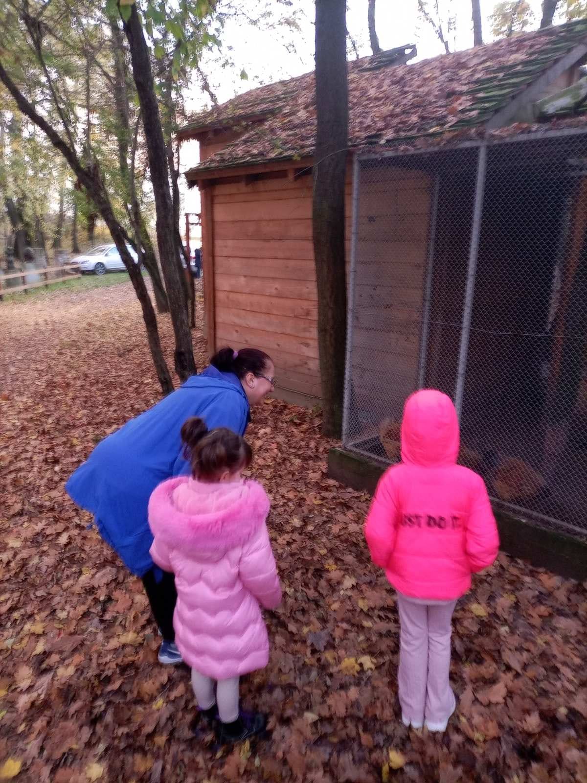 Јасеново Гат Излет - фотографија 7